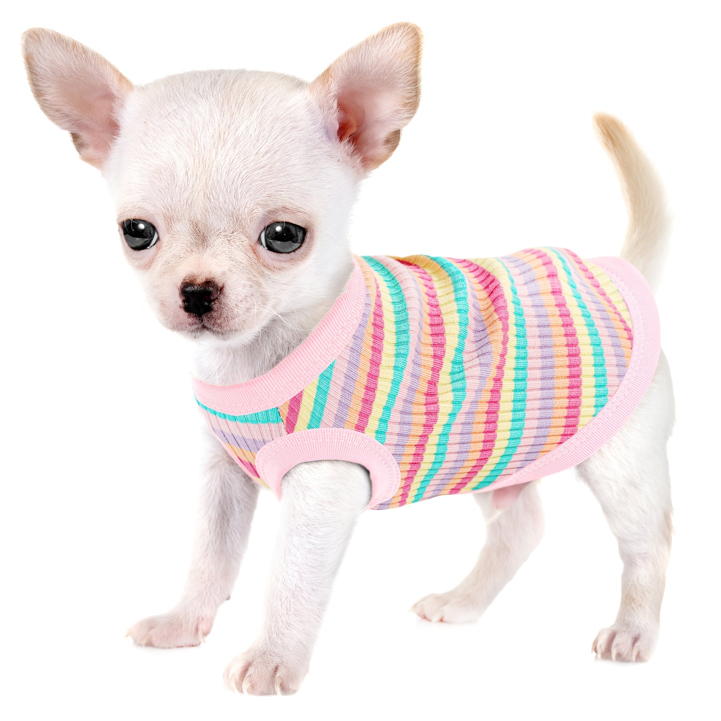 Pink Striped Soft Ribbed Paiaite Dog Vest - Easy Pullover Tank Top for Small to Extra Small Breeds - Hand Wash Only