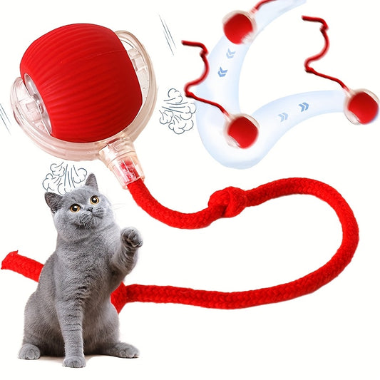 1 MIAOQUANJI Electric Cat Toy Ball with Tail Rope - USB-Rechargeable Self-Moving Rolling Robot Mouse for Indoor Exercise, for Kittens & Cats (USB,) - Interactive Hunting Game for Breeds/Sizes