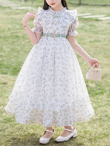 Girls' Long Floral Chiffon Princess Dress, a Trendy Outfit for Children Aged 7-14