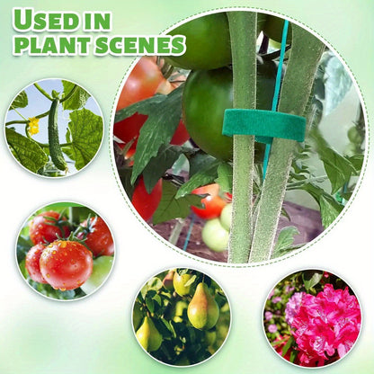 5-meter/roll Reusable Nylon Plant Ties - Green Garden Plant Bandage Cable Ties - Self-Adhesive Plant Fastening Tape - Suitable for Plants, Gardens, and Home Life