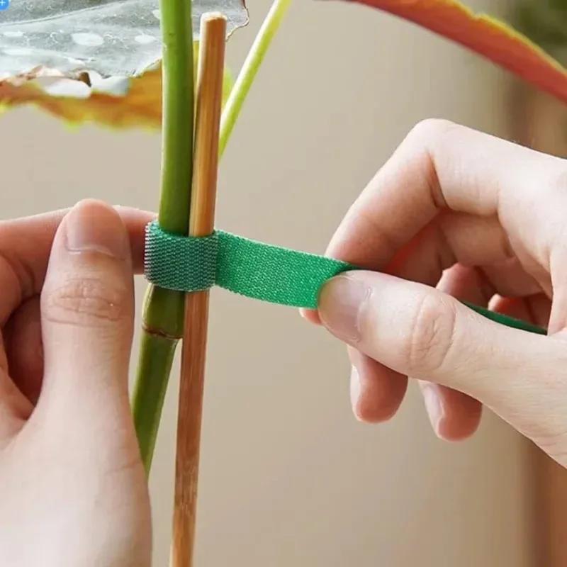 5-meter/roll Reusable Nylon Plant Ties - Green Garden Plant Bandage Cable Ties - Self-Adhesive Plant Fastening Tape - Suitable for Plants, Gardens, and Home Life
