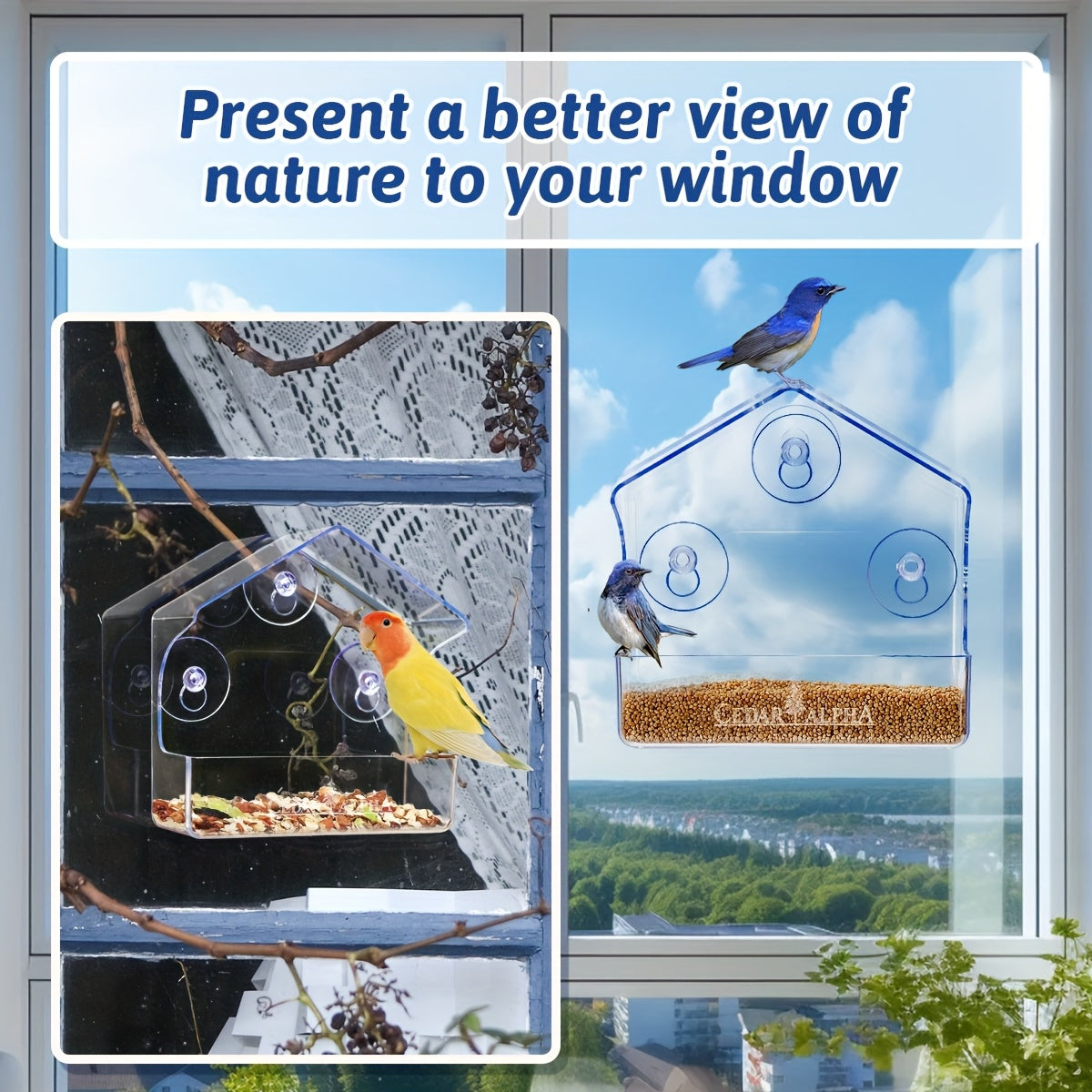 A Transparent Plastic Bird Feeder for Windows with Strong Suction Cups, Designed As a House for Birds, Without Battery