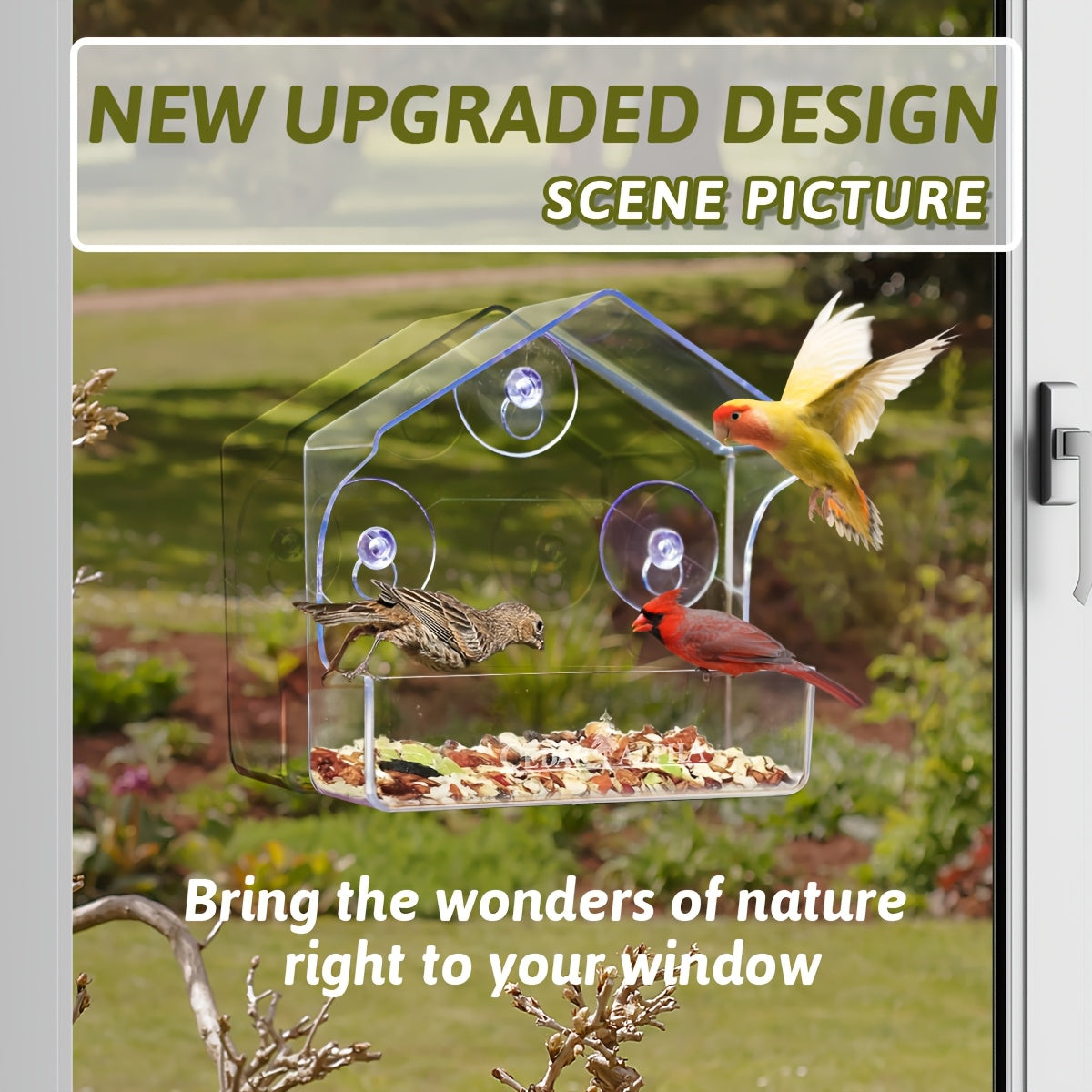 A Transparent Plastic Bird Feeder for Windows with Strong Suction Cups, Designed As a House for Birds, Without Battery