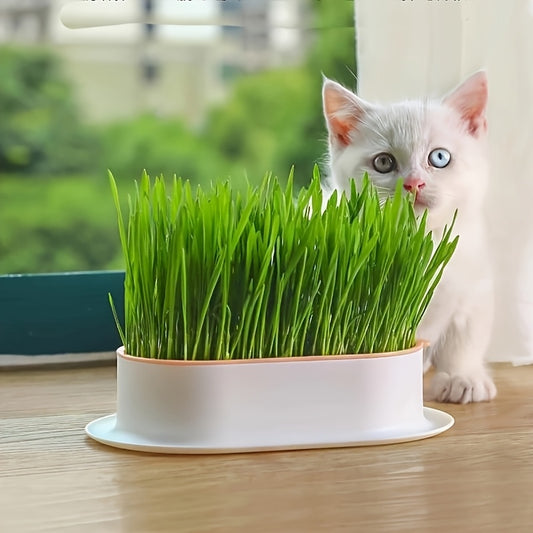 [Hydroponic Cat Grass Pot] 1pc Hydroponic Cat Grass Growing Pot (Without Seeds), Plastic Pet Bowl