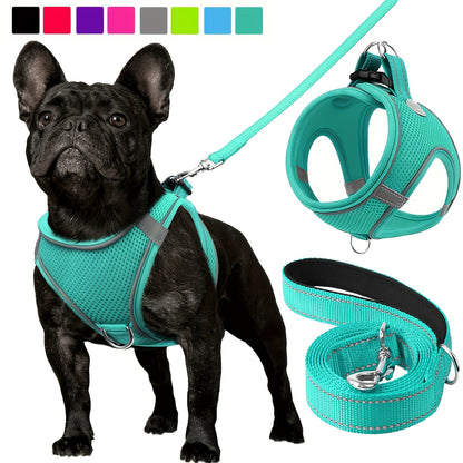 [Soft Padded Dog Harness] Reflective Soft Padded Joytale Step in Dog Harness and Leash Set | Breathable Mesh Vest for Small and Medium Dogs