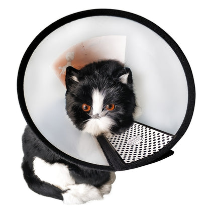 Pet Anti-Scratch and Anti-Bite Elizabeth Collar