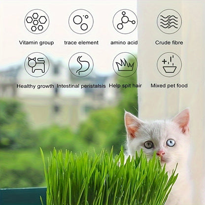 [Grass Planting Box] Seed Sprouting Trays Set | Cat Grass Planting Box, Planting Hydroponics Box, Garden Seed Sprouter Tray | (Without Seeds)